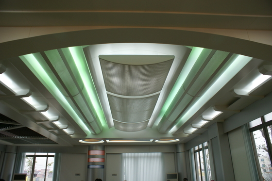 Customizable Aluminum Corrugated Panel For Convention Center