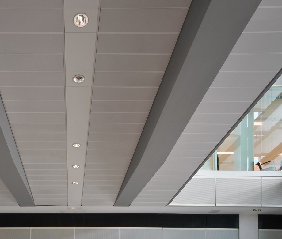 Decorative Perforated  Lay In Ceiling Panels , Waterproof Ceiling Tiles  300x1200mm