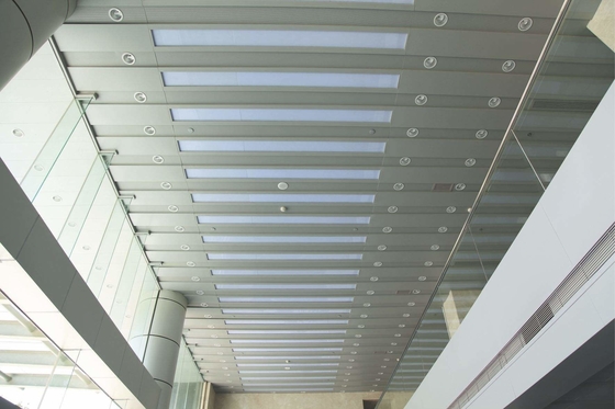 Customizable Color Aluminum Cladding Panel Ceiling For Metro Station